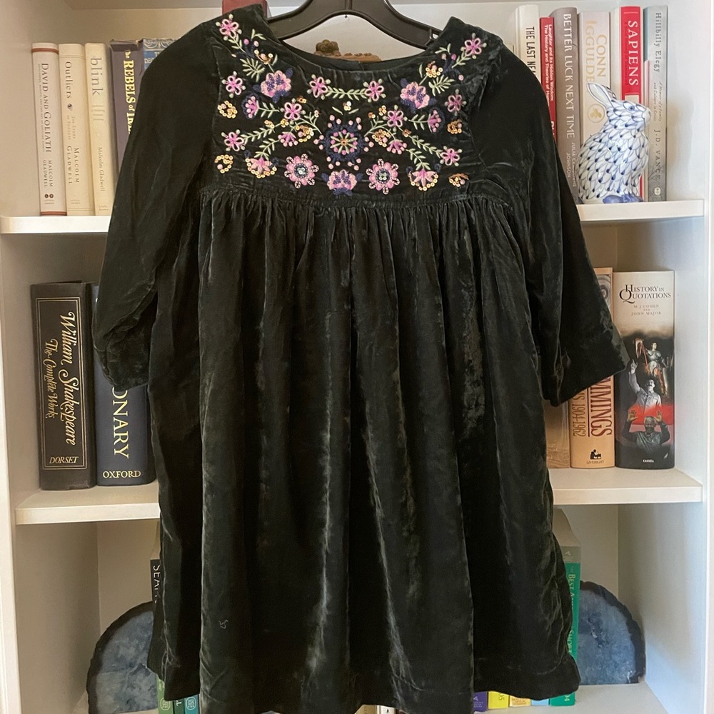 Peek Kids Girls Embroidered Crushed Velvet Dress 10